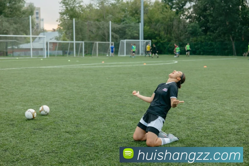 BB贝博艾弗森平台生态图